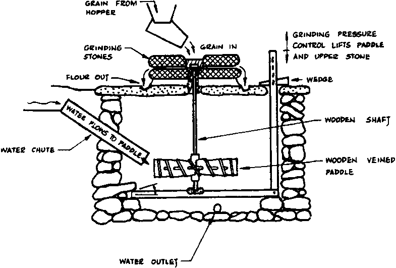 Maize P070A.GIF