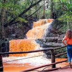 karura forest trails