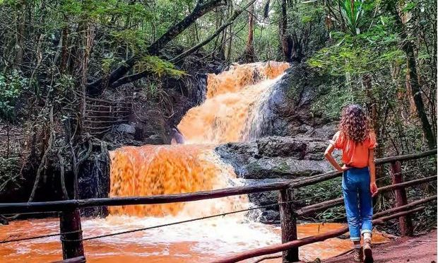 karura forest trails