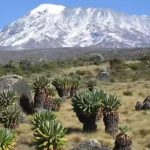 mount Kilimanjaro Trekking