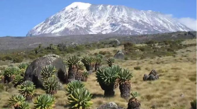 mount Kilimanjaro Trekking